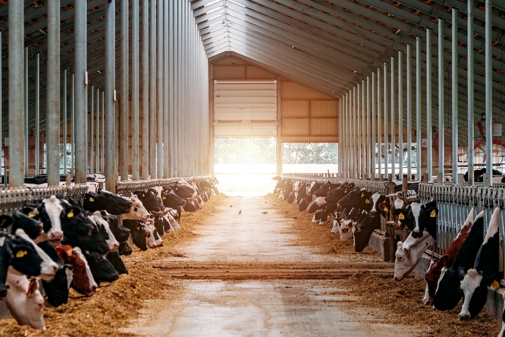Russian Dairy Industry: Challenges and Development Prospects