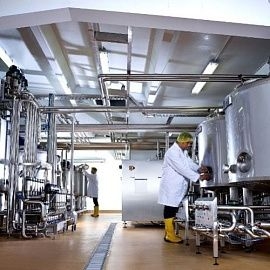 Экономический анализ эффективности деятельности российских производителей оборудования для молочной промышленности
